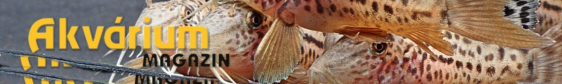 akvarium-magazin-banner